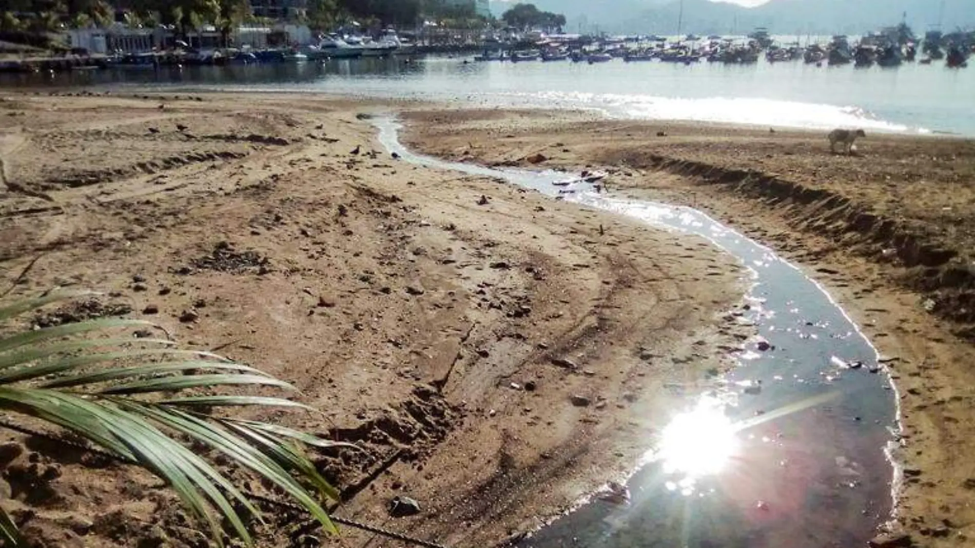 Contaminación playa manzanillo